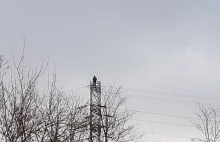Próba samobójcza przy ulicy Krakowskiej - miasto wyłączyło prąd