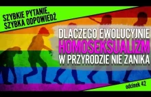 Dlaczego homoseksualizm ewolucyjnie nie zanika?