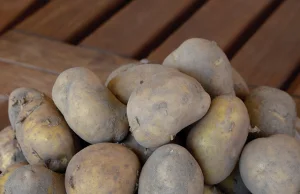 Ceny ziemniaków biją kolejne rekordy