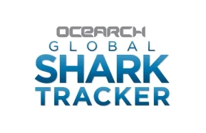 Globalny tracker rekinów