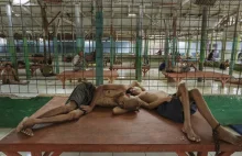Fotoreportaż ze szpitali psychiatrycznych w Indonezji