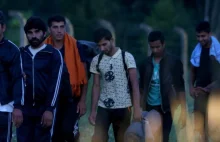 Rząd Niemiec: Nie wszyscy uchodźcy są terrorystami
