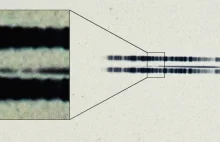 Dowody na planety wokół białego karła znalezione na kliszach z 1917 roku [ENG]