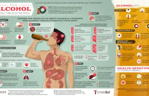 Jak alkohol przechodzi przez ciało