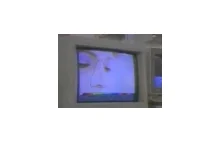 Telekomputer (1996) - Amiga do postprodukcji