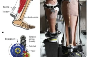 Pasywny egzoszkielet działa jak siedmiomilowe buty i nie potrzebuje zasilania