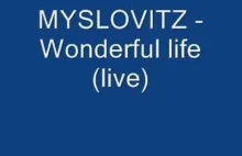 Myslovitz - Wonderful Life (live
