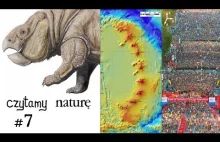 Czytamy naturę #7 | Gigantyczny polski prassak - Neon w płaszczu - Płyń z tłumem