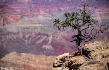 Grand Canyon - najlepszy punkt widokowy?