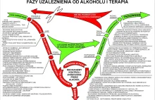 Fazy uzaleznienia od alkoholu i terapia