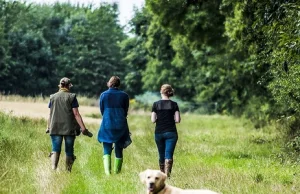 Labrador rzucił się na 9-latkę. Na jej twarzy założono 230 szwów.