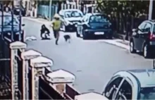 Bezpański pies uratował kobietę od złodzieja