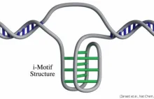 Naukowcy potwierdzili istnienie struktury DNA o nieznanym wcześniej kształcie