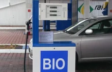 Biopaliwo a oszczędności. Czy warto je tankować?