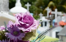 Wypadek na pogrzebie 80-latek usłyszał zarzuty