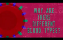 [ANG] Grupy krwi - dlaczego mają tak ważne znaczenie