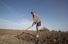 Sudan Południowy: 7 000 000 ludzi zagrożonych głodem