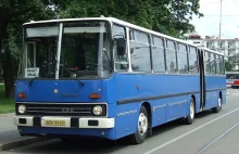 AMA - Kierowca autobusów miejskich