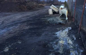 Spłonęły przeszkody Wakeparku w Myślęcinku