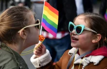 Mobilizacja przeciwko warszawskiej deklaracji LGBT. Organizacje rodzinne ...