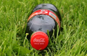Coca-Cola nie zamierza wycofać się z plastiku. "Konsumenci tego nie chcą"