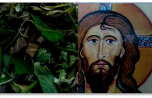 Jezus Chrystus uzdrawiał chorych marihuaną?