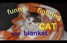 Funny fighting kitten and sweetheart blanket