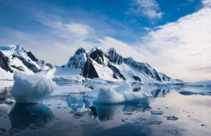 Na Antarktydzie odkryto pozostałości gigantycznych, pradawnych drzew