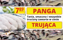 Panga to mocno trująca ryba, która doszczętnie zniszczy Twoje zdrowie