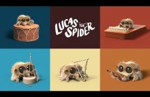 Lucas The Spider - One Man...