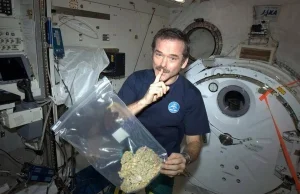 Chris Hadfield na międzynarodowej stacji kosmicznej.