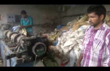 Recycling plastiku w Indiach