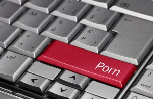 11 milionów Polaków ogląda porno