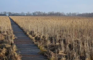 Carską drogą przez Biebrzański Park Narodowy - zimą też jest tu pięknie!