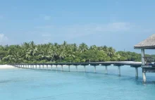 Malediwy wiza turystyczna- niezbędnik podróżnika