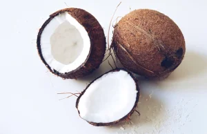 Kokos i jego właściwości | Portal modowy Vers24