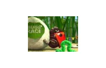 Polska animacja "Bugs Race"