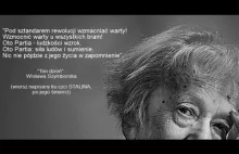 Leszek Żebrowski - pseudoautorytet Wisława Szymborska