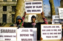 Cameron przeprasza, że obraził muzułmanina. Słusznie?