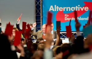 Alternatywy dla Niemiec - postulaty programowe i krótki zarys historii partii.