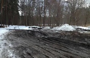 Jak co roku, śnieg z olsztyńskich ulic wywożony jest do...lasu