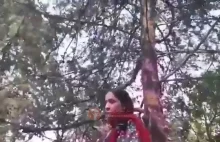 Iran: Kobieta pobita za nieodpowiedni ubiór