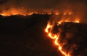 Czy w amazońskich pożarach faktycznie jest gorzej niż w ostatnich latach?