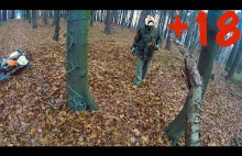 Angry forest Guardian - linka śmierci Kolejne spotkanie chlopakow z tubylcem :P