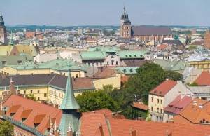 Krakowscy naukowcy w piątek na TEDxKraków