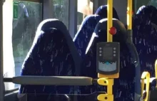 Wpadka narodowców. Pomylili puste siedzenia w autobusie z kobietami w burkach xD
