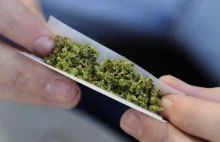 Władze Ontario w ciągu roku tracą 42 miliony dolarów na sprzedaży marihuany.