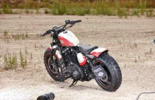 Harley-Davidson 48 Big Foot