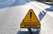 Groźny wypadek na A1. Ranna kobieta w ciąży i… koń! | Metropolia Bydgoska