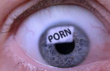 Pornhub ufundował stypendium na badania nad skutkami oglądania porno